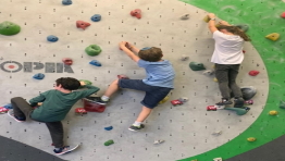 פנטופיה (פאנטופיה) בולדרלנד 